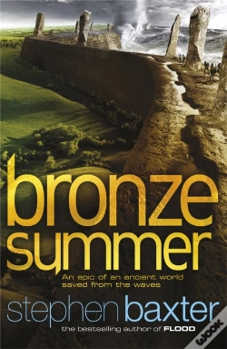 Capa do artigo Bronze Summer