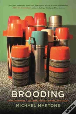 Capa do artigo Brooding