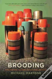 Capa do artigo Brooding