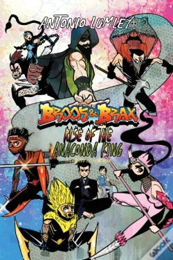 Capa do artigo Brook & Brax