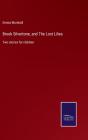 Brook Silvertone, And The Lost Lilies - Preview