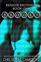 Brooks  Benson Brothers, Book One
