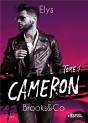Brooks & Co Tome 1 - Cameron - Preview