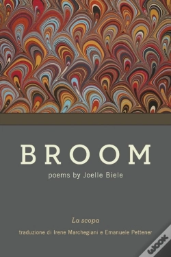 Capa do artigo Broom