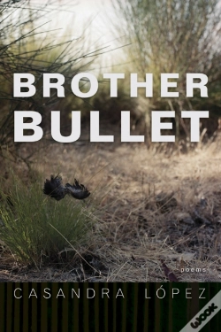 Capa do artigo Brother Bullet