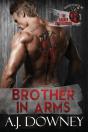 Brother In Arms - Preview