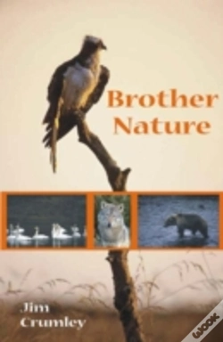 Capa do artigo Brother Nature