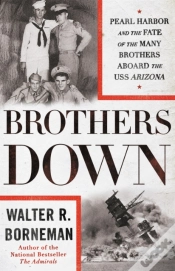 Capa do artigo Brothers Down