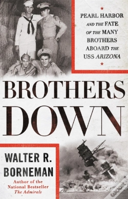 Capa do artigo Brothers Down