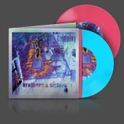 Capa do artigo Brothers & Sisters - Vinil