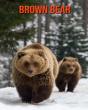 Brown Bear - Preview