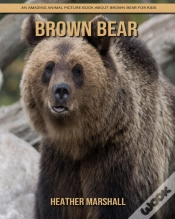 Capa do artigo Brown Bear