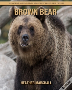 Capa do artigo Brown Bear