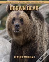 Brown Bear