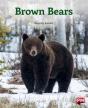 Brown Bears - Preview