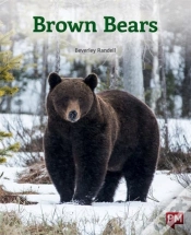 Capa do artigo Brown Bears