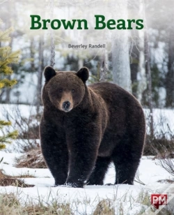 Capa do artigo Brown Bears