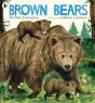 Brown Bears - Preview