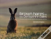 Capa do artigo Brown Hares In The Derbyshire Dales