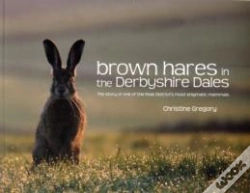 Capa do artigo Brown Hares In The Derbyshire Dales