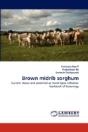 Brown Midrib Sorghum - Preview