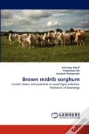 Capa do artigo Brown Midrib Sorghum