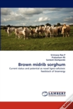 Capa do artigo Brown Midrib Sorghum