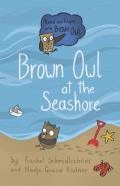 Brown Owl At The Seashore