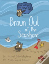 Brown Owl At The Seashore
