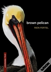 Brown Pelican