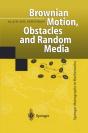 Brownian Motion, Obstacles And Random Media - Preview