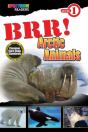 Brr! Arctic Animals - Preview