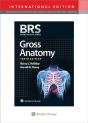 Brs Gross Anatomy - Preview