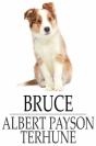 Bruce - Preview