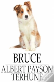 Capa do artigo Bruce