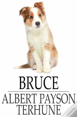 Capa do artigo Bruce