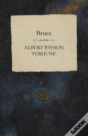 Capa do artigo Bruce