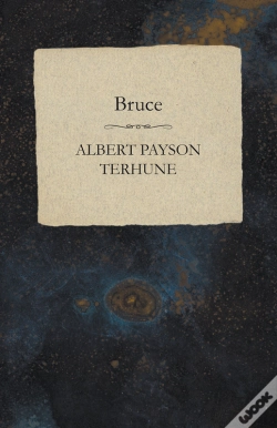 Capa do artigo Bruce