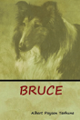 Bruce - Preview