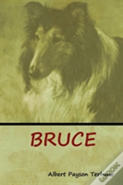 Capa do artigo Bruce