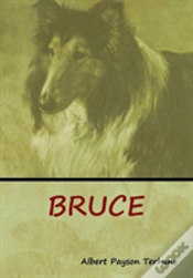 Capa do artigo Bruce