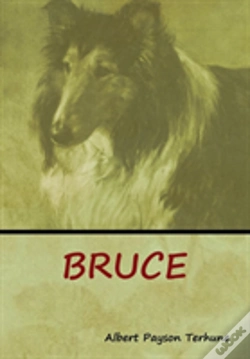 Capa do artigo Bruce