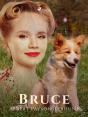 Bruce - Preview