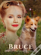 Capa do artigo Bruce