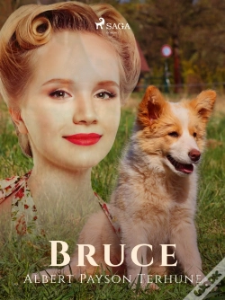 Capa do artigo Bruce