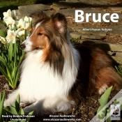 Capa do artigo Bruce