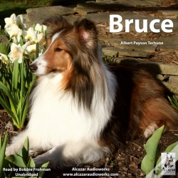 Capa do artigo Bruce