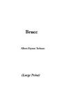 Bruce - Preview