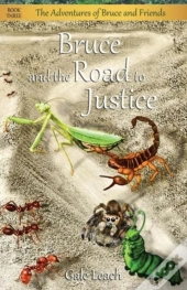 Bruce And The Road To Justice