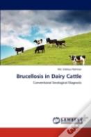 Brucellosis In Dairy Cattle